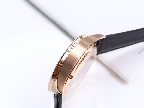 アイ・ダブリュー・シー素材ディテール